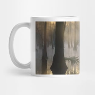 Bald Cypress Grove In Freshwater Swamp At Dawn Lake Fausse Pointe Mug